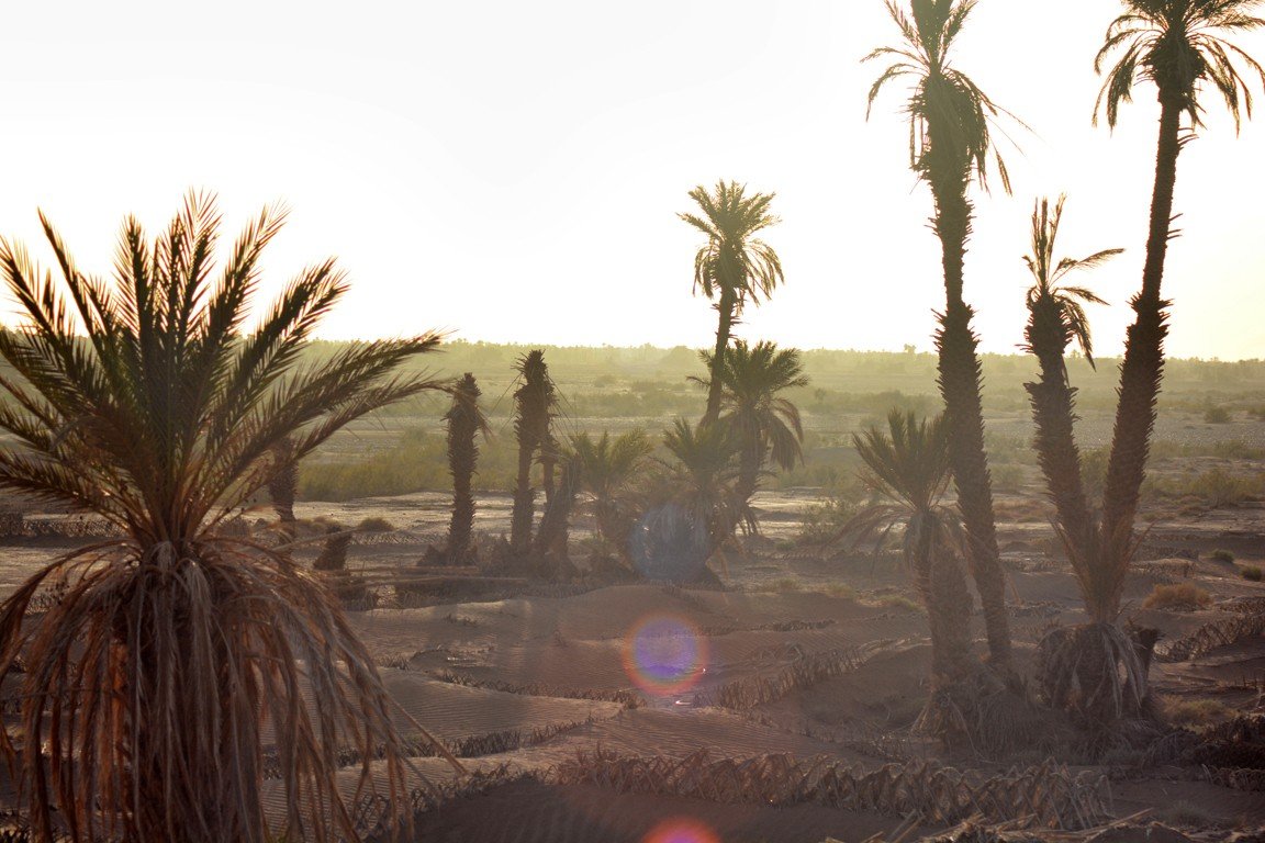 Caminata en las arenas doradas del Erg Chegaga
