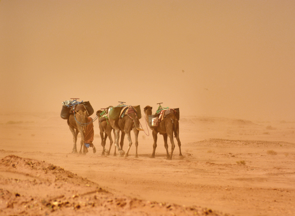 Caminata en las arenas doradas del Erg Chegaga