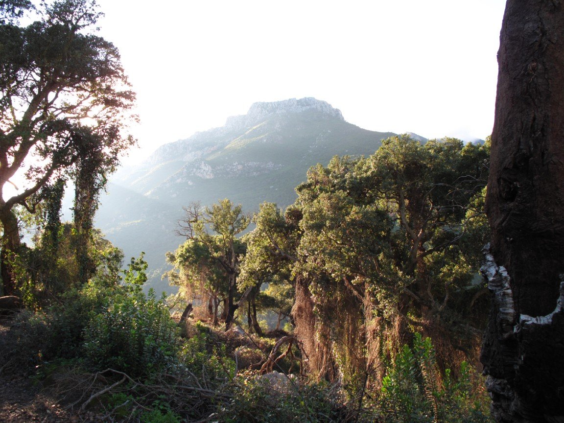Montes de la Jebala