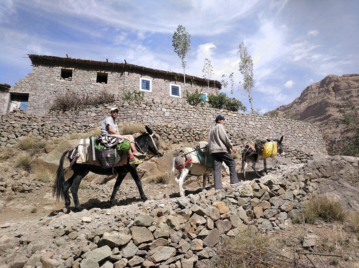 Burros ascendiendo a la gîte de montaña en Taghia