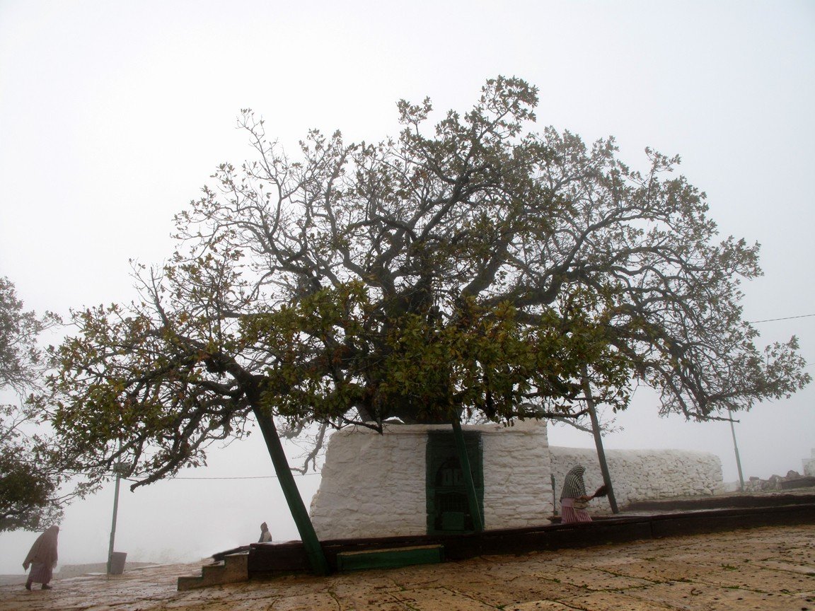 Morabito de Muley Abdeselam