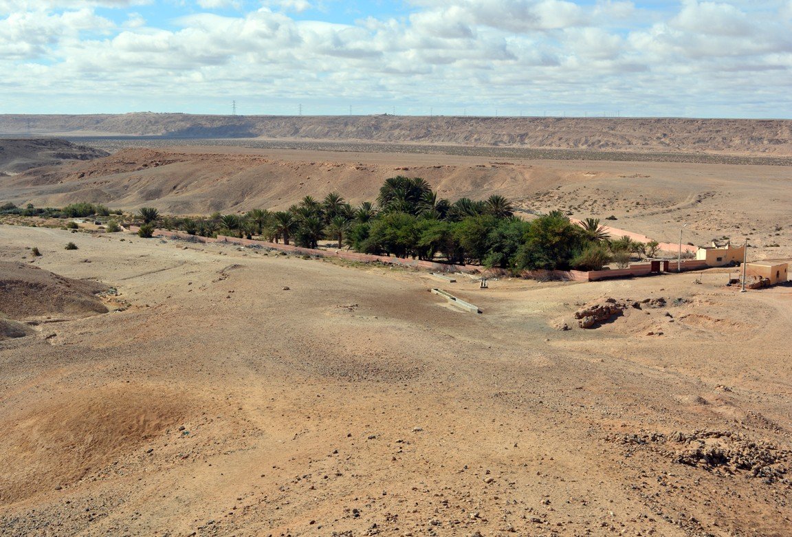 Vista aérea del oasis de Meseied en la Saguia el Hamra