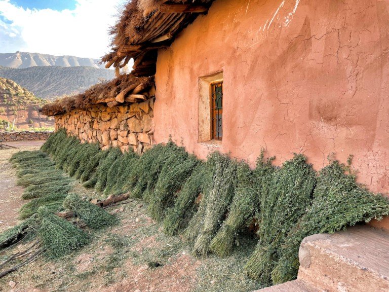 Viaje al Valle Feliz