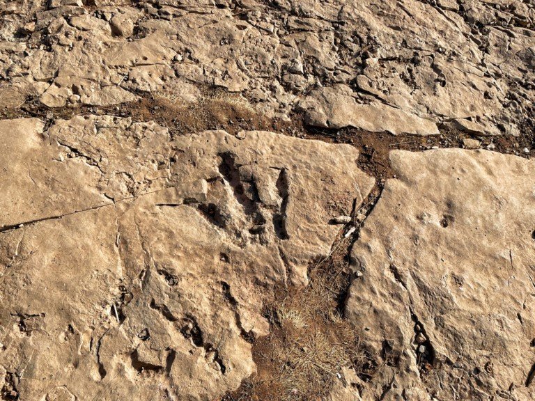 Viaje al Valle Feliz