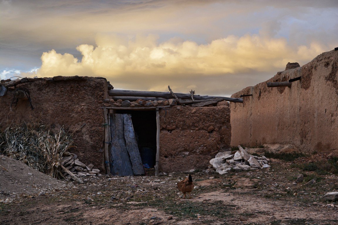 Gallinas en el pueblo de Taouraout, en el Ayachi