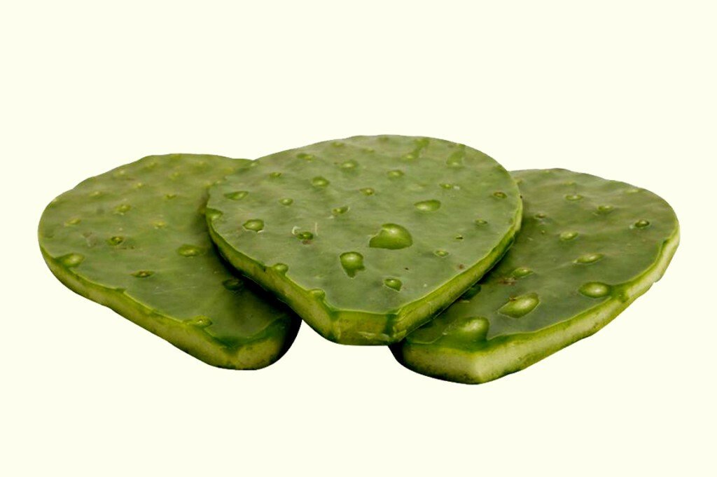 Pencas limpias de la chumbera