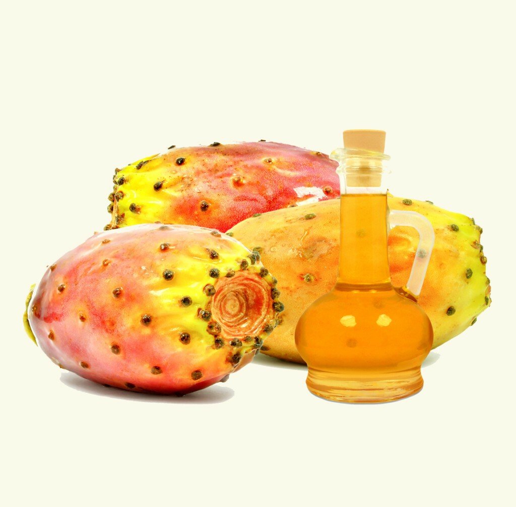 Ilustración de chumbo y su aceite