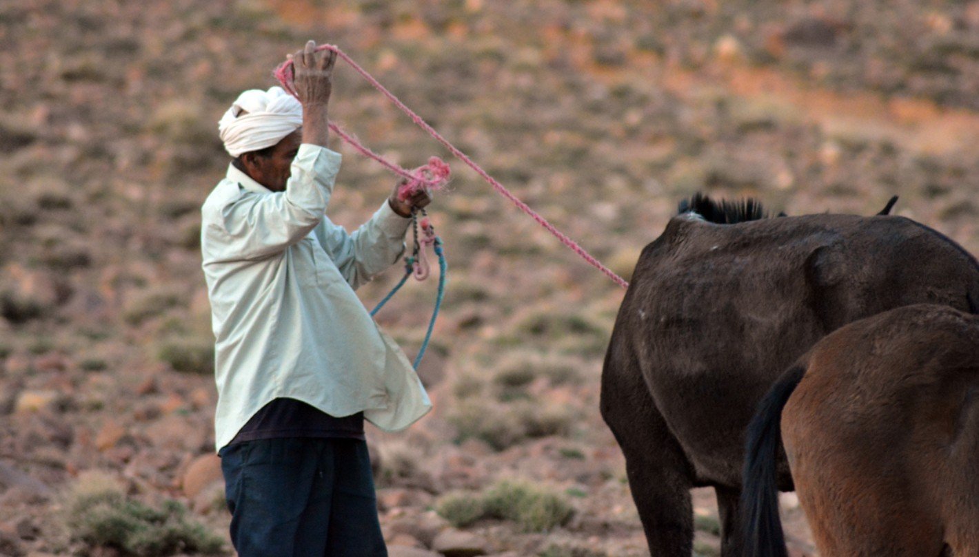 Jebel Saghro: la tierra de los Ait Atta