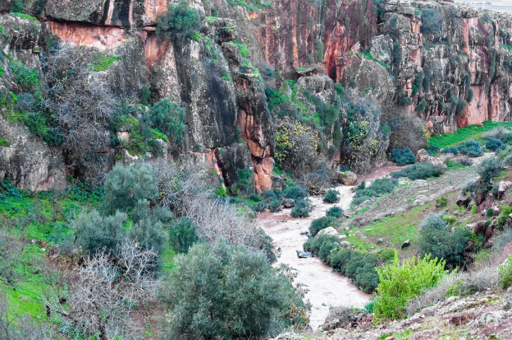 Espacios verdes intensos en el Parque Nacional Tazekka.